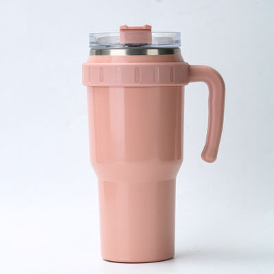 Χρωματιστό χάλυβα διπλό τοίχωμα σκάφος Scholar Cup Eco Friendly BPA δωρεάν Προσαρμοσμένο σχεδιασμό λογότυπο